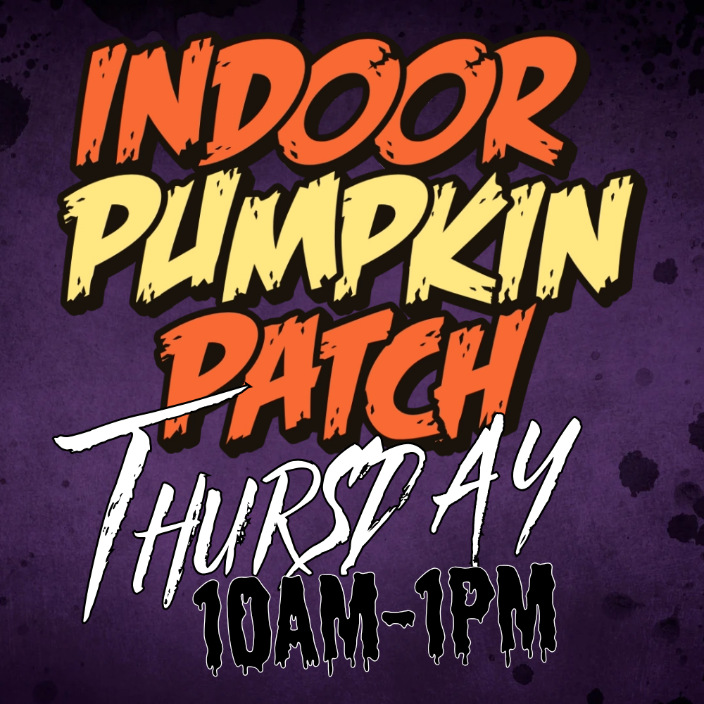Indoor Pumpkin Patch
