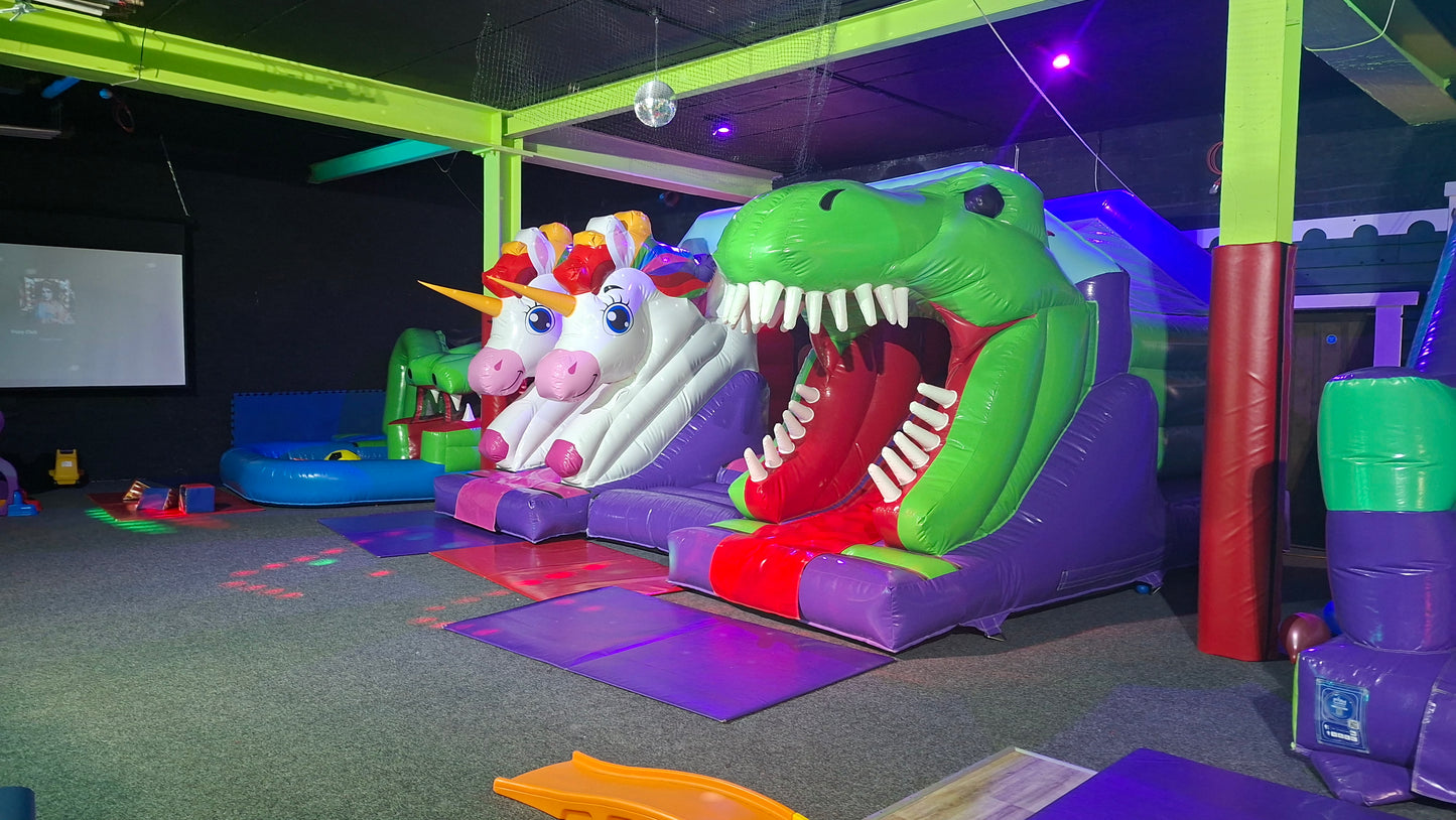 Back Castle Room & Disco Party